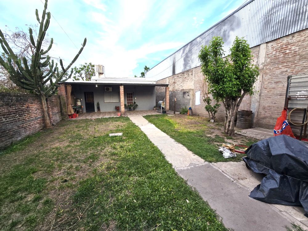 resized_resized_20251019_184500.jpg